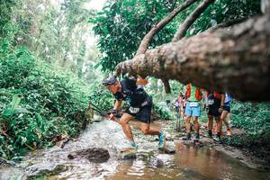 BIB: 
                            <button type="button" onclick="openModal(25375634)" class="btn btn-primary btn-sm float-right btn-popup" data-toggle="modal" data-target=".modal-high-quality">
                        <i class="fas fa-shopping-cart"></i> Add to Cart
                    </button>
                                            <button type="button" onclick="isThisMe(25375634, true)" class="btn btn-success btn-sm float-right btn-popup btn-isme hidden" data-toggle="tooltip" data-placement="bottom" title="นี่คือรูปของคุณใช่ไหม คลิกที่นี่เพื่อเอาเข้าอัลบั้ม">
                        <i class="fas fa-plus"></i> Add to album
                    </button>
                    <button type="button" onclick="isThisMe(25375634, false)" class="btn btn-warning btn-sm float-right btn-popup btn-isnotme hidden">
                        <i class="fas fa-ban"></i> Remove from album
                    </button>